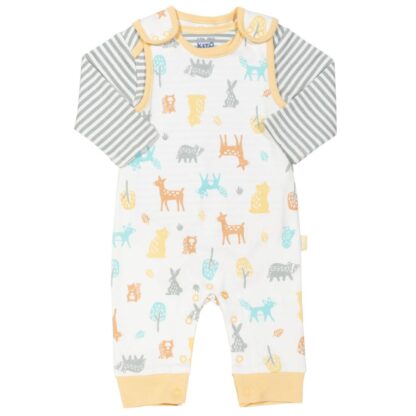 baby clothes rental dungaree and long sleeve body outfit