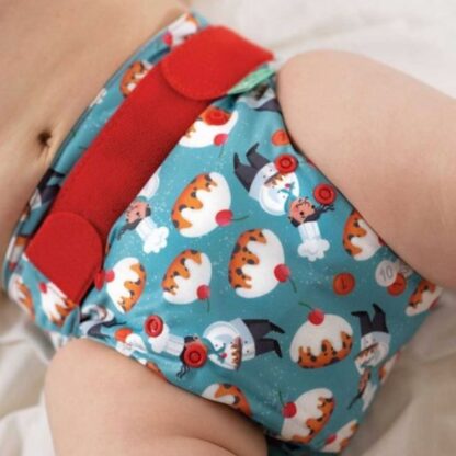 All in one Currant Buns Reusable nappy