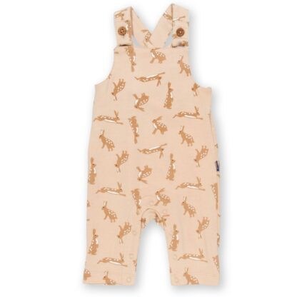 baby clothes rental dungarees