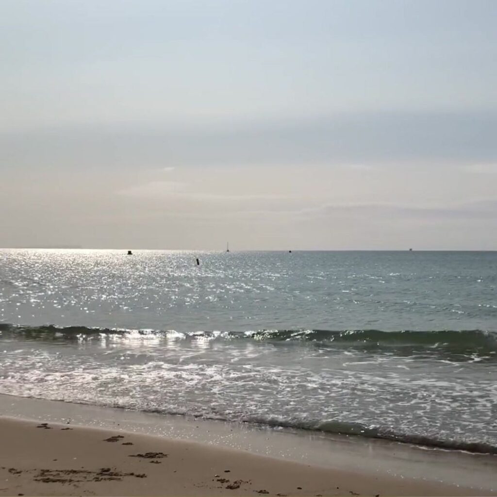 dorset coast