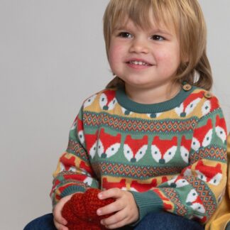 animal baby clothes clever fox jumper