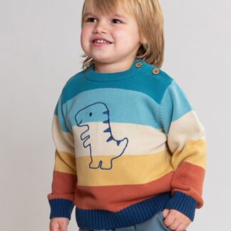 dinosaur baby clothes diddy dino jumper